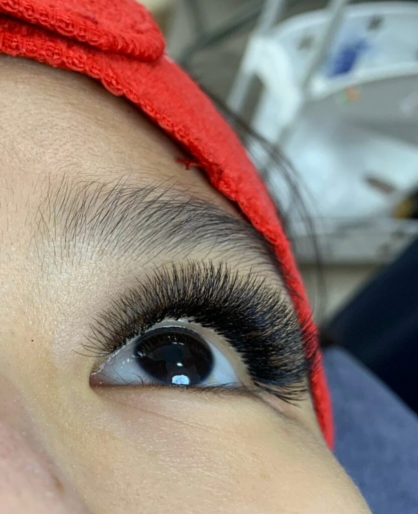 5d Lashes Extensions