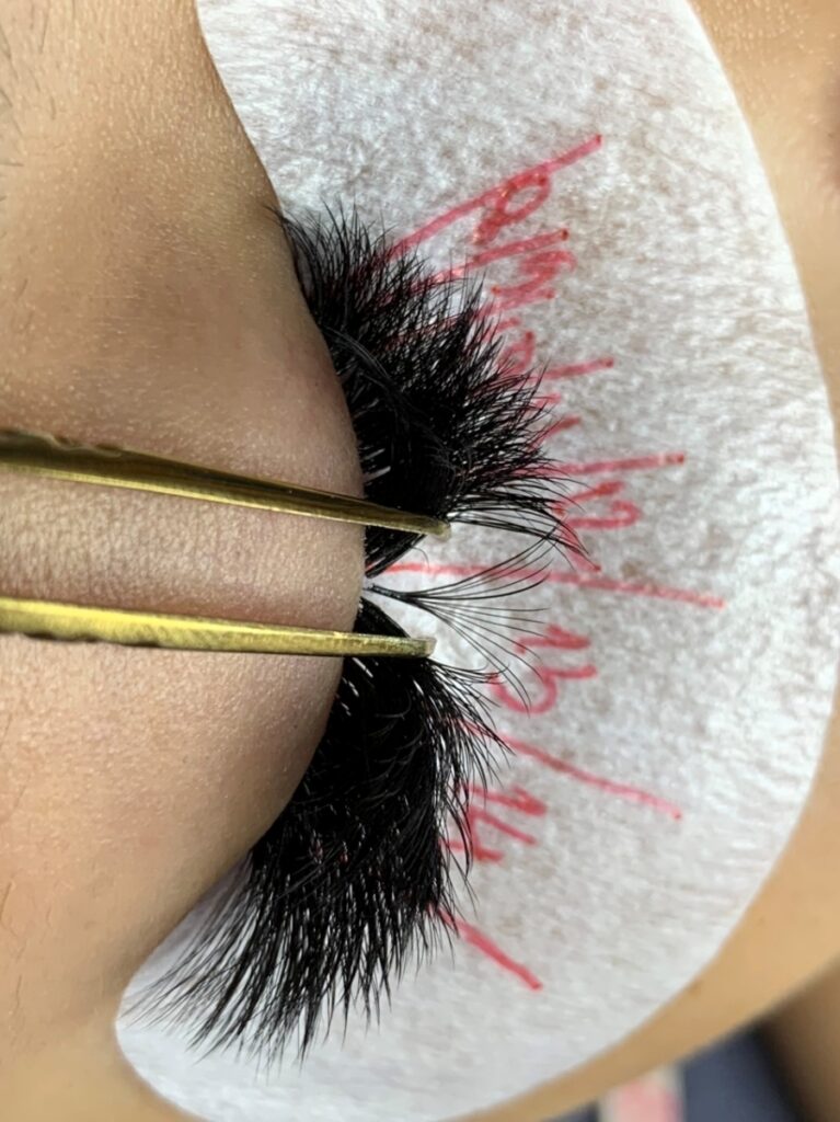 Use Lash Fans To Extend Eyelashes To Customers