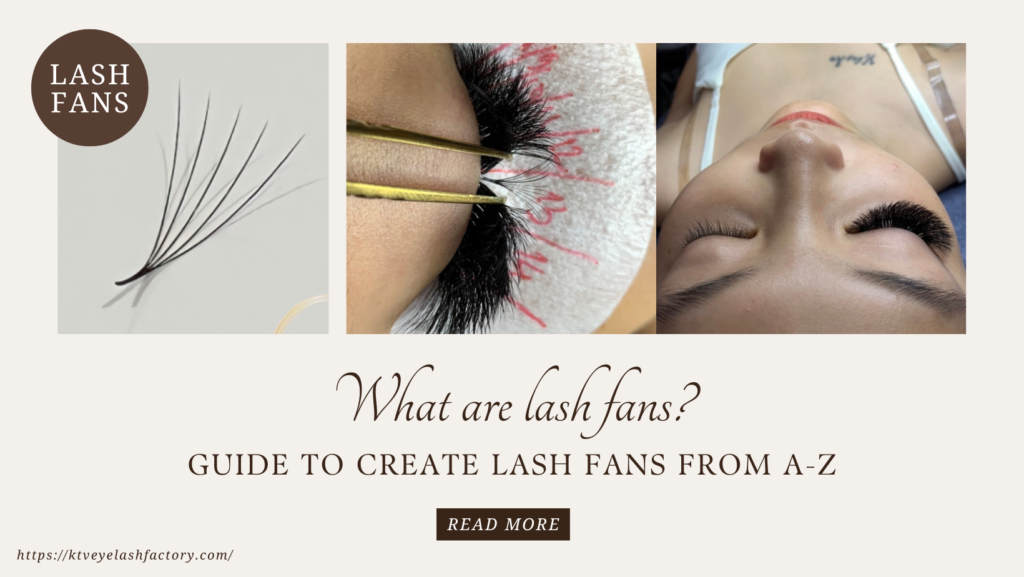 Lash Fans