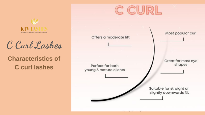 Characteristics Of C Curl Lashes