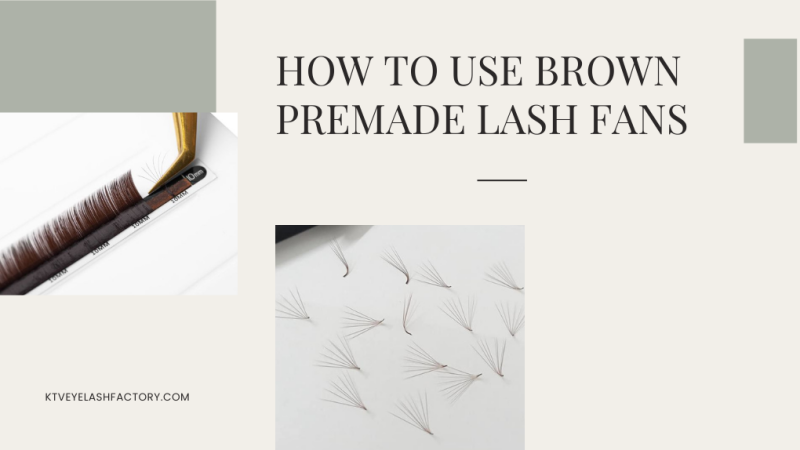 How To Use Brown Premade Lash Fans