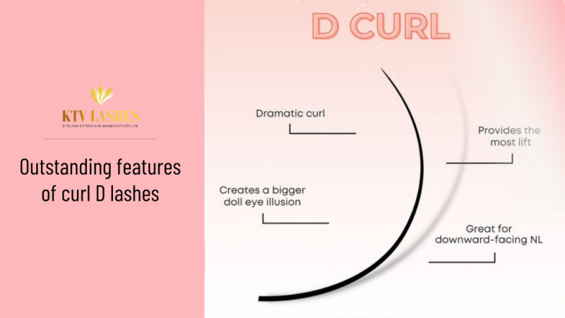 Outstanding Features Of Curl D Lashes