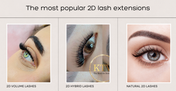 The Most Popular 2d Lash Extensions