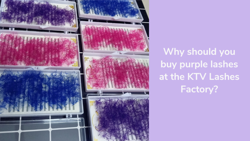 Why Should You Buy Purple Lashes