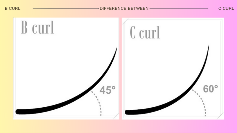 Difference Between B Curl Vs C Curl