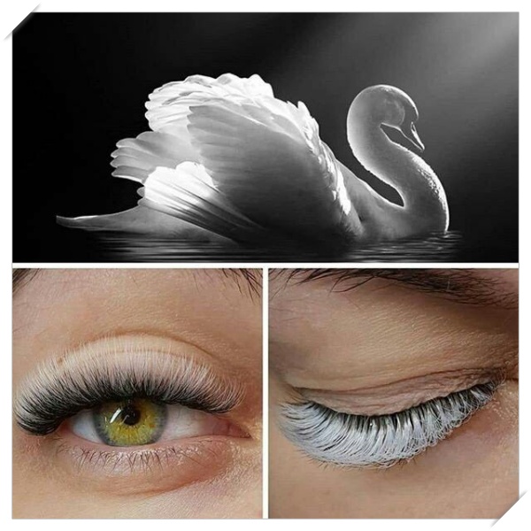 How To Properly Use And Care For White Lash Extensions