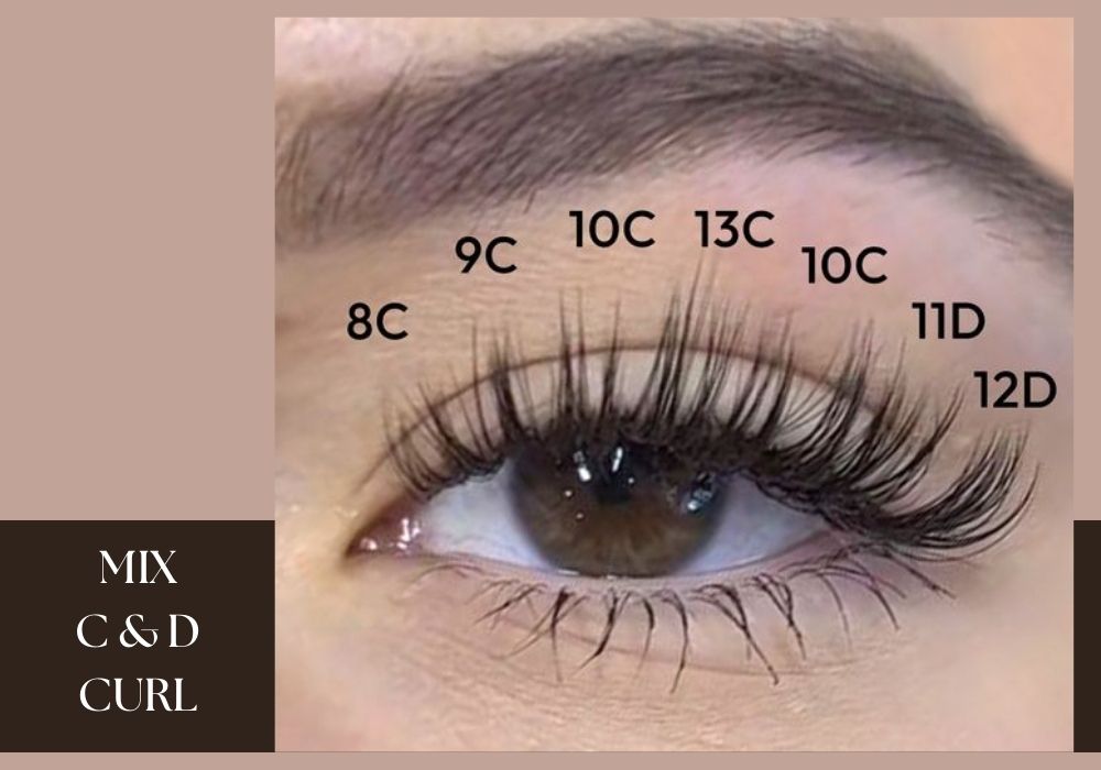 Mix C And D Curl Lashes 2