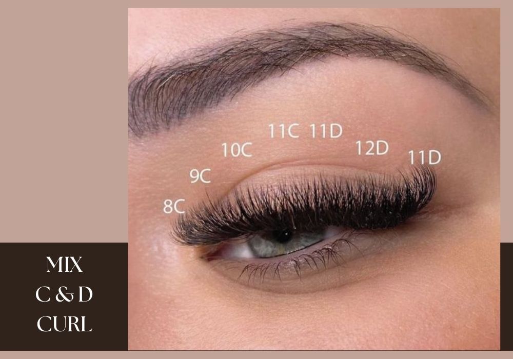 Mix C And D Curl Lashes 3