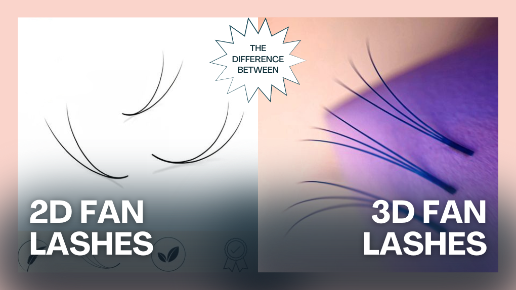 The Difference Between 2d Lashes Vs 3d