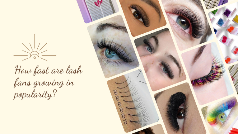 How Fast Are Lash Fans Growing In Popularity