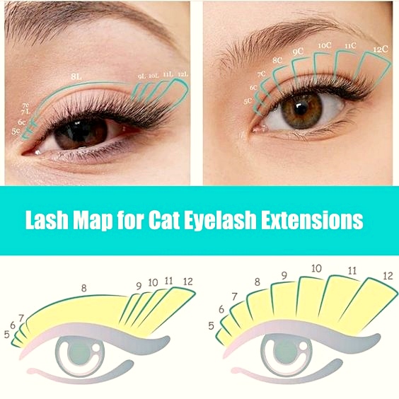Natural Cat Eye Eyelash Extension Map