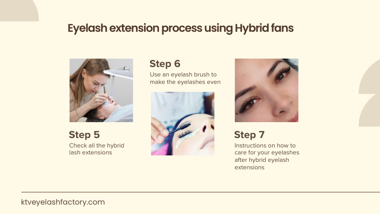 Process Apply Hybrid Fans Lashes 1