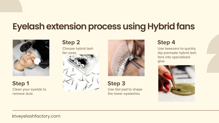 Process Apply Hybrid Fans Lashes