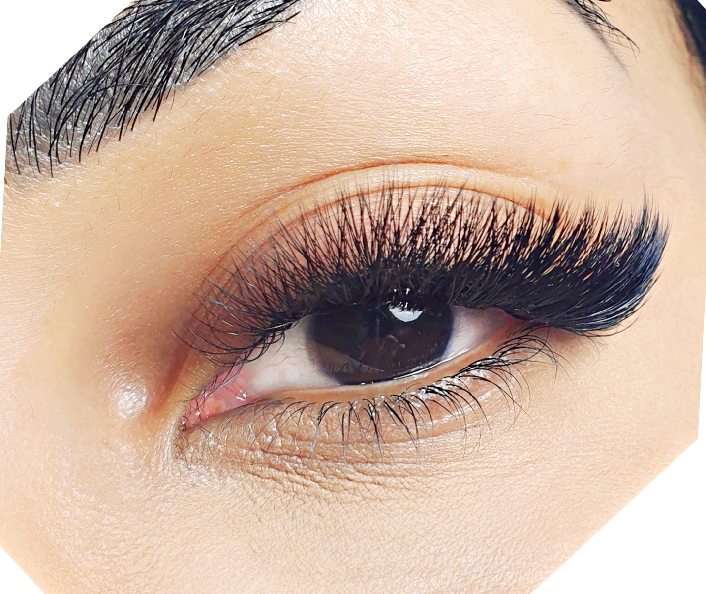What Are Cat Eye Eyelash Extensions