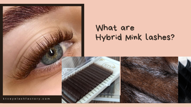 What Are Hybrid Mink Lashes