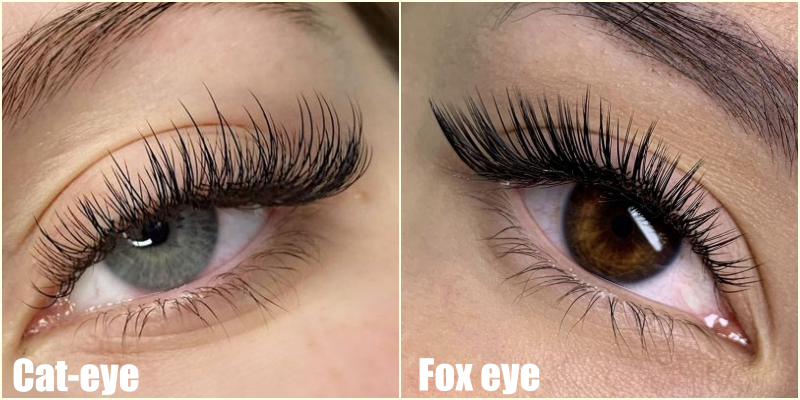 Cat Eye Vs Fox Eye Eyelash Extensions
