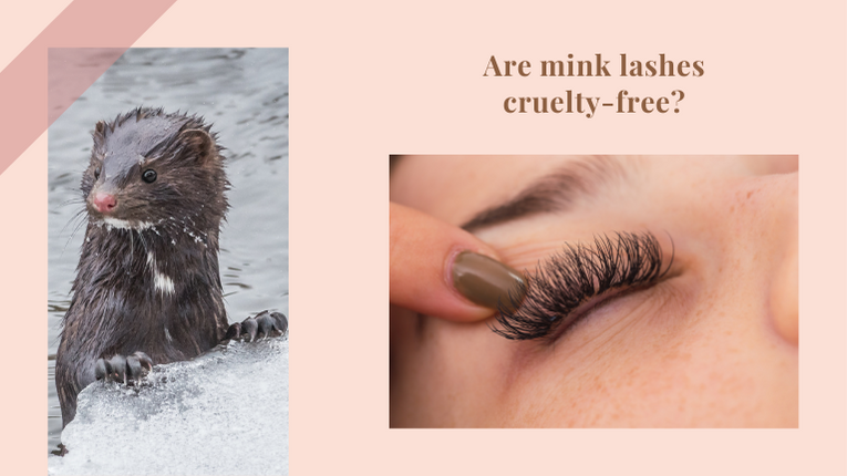 Are Mink Lashes Cruelty Free