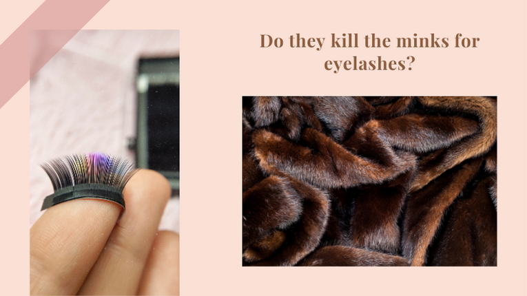 Do They Kill The Minks For Eyelashes