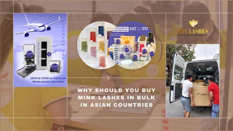 Why Buy Mink Lashes In Bulk In Asia