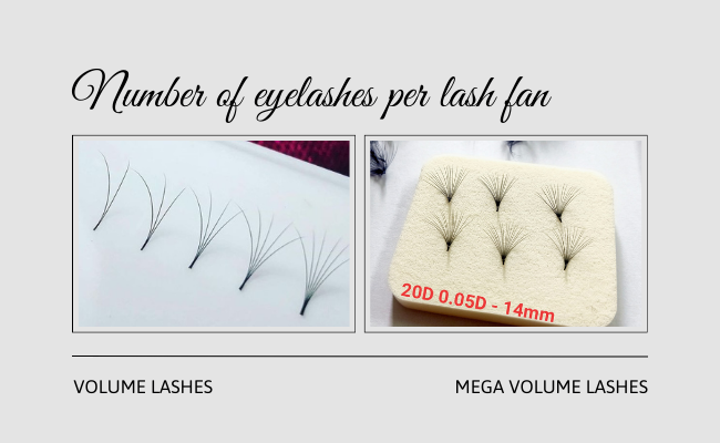 Difference In Number Of Eyelashes Per Lash Fan