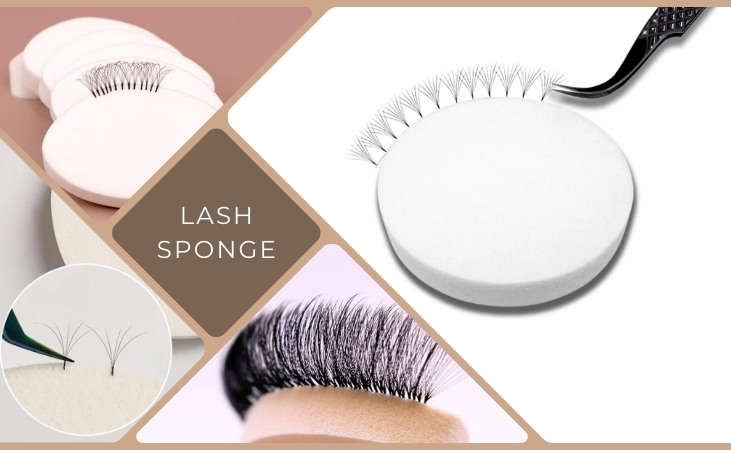 Lash Sponge