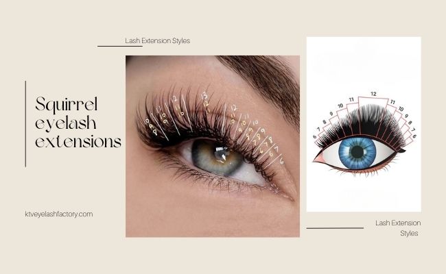 Eyelash Extension Styles Squirrel